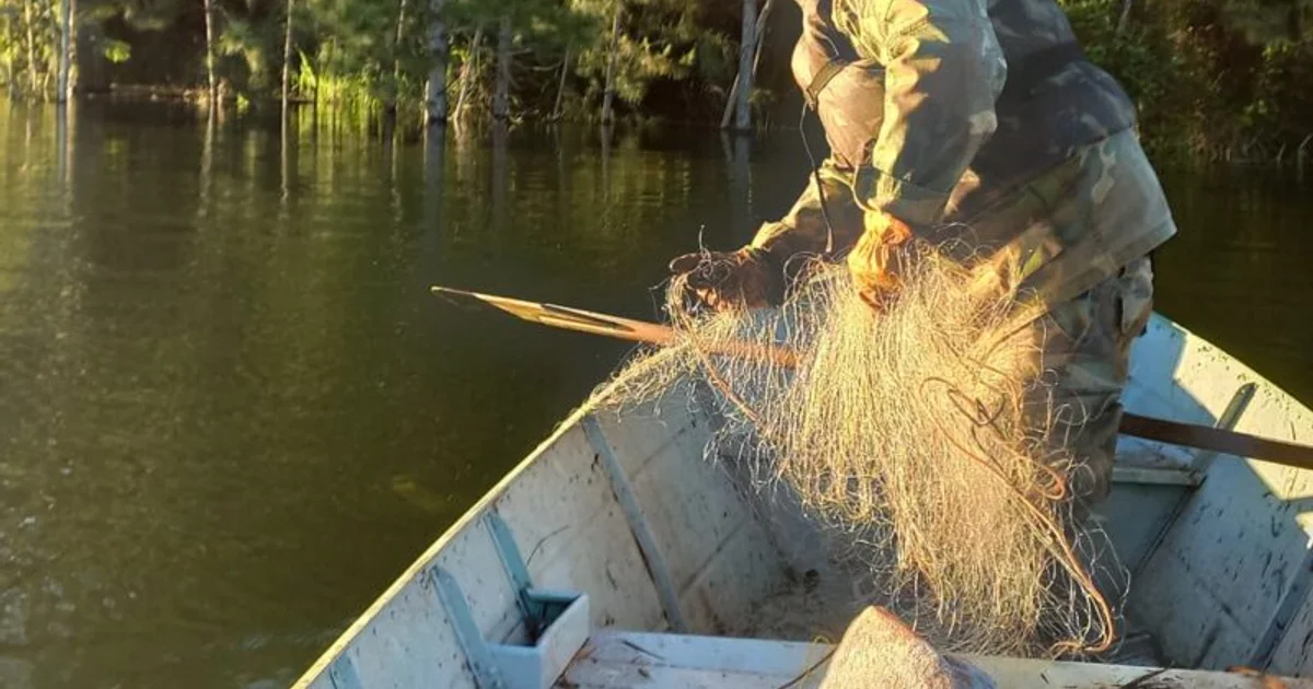 Official photo: ECOLOGÍA: LAGO URUGUA-Í, GUARDAPARQUES SECUESTRARON UN BOTE Y REDES DE PESCA PROHIBIDAS DURANTE UN OPERATIVO