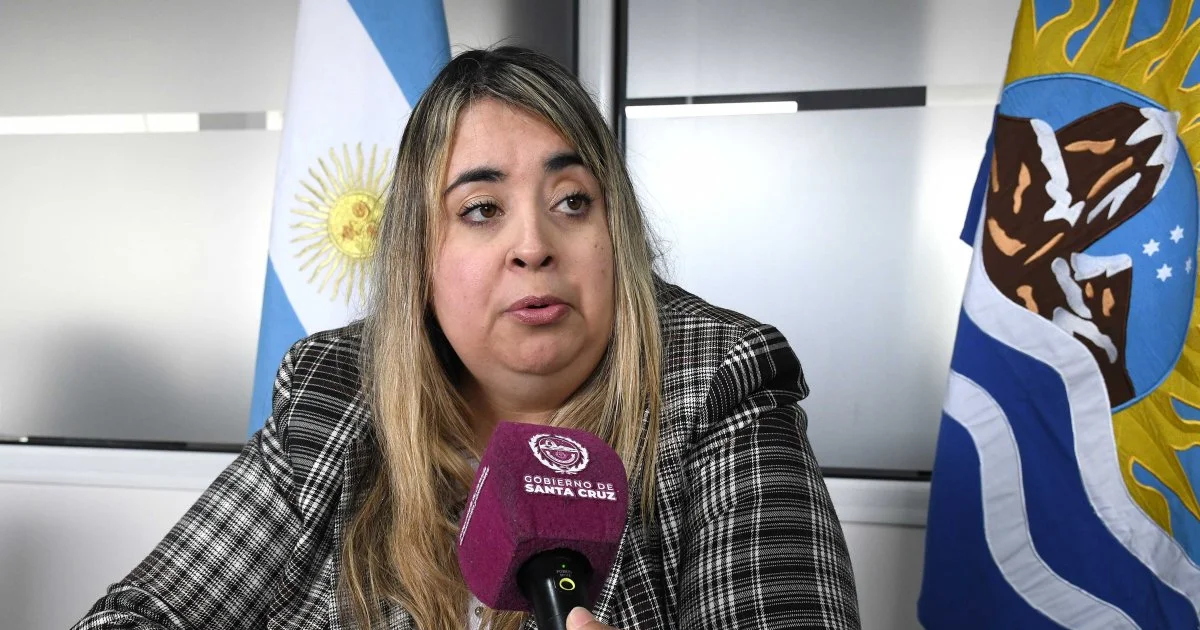 Santa Cruz realizará su Primera Jornada Provincial sobre guarda con fines adoptivos