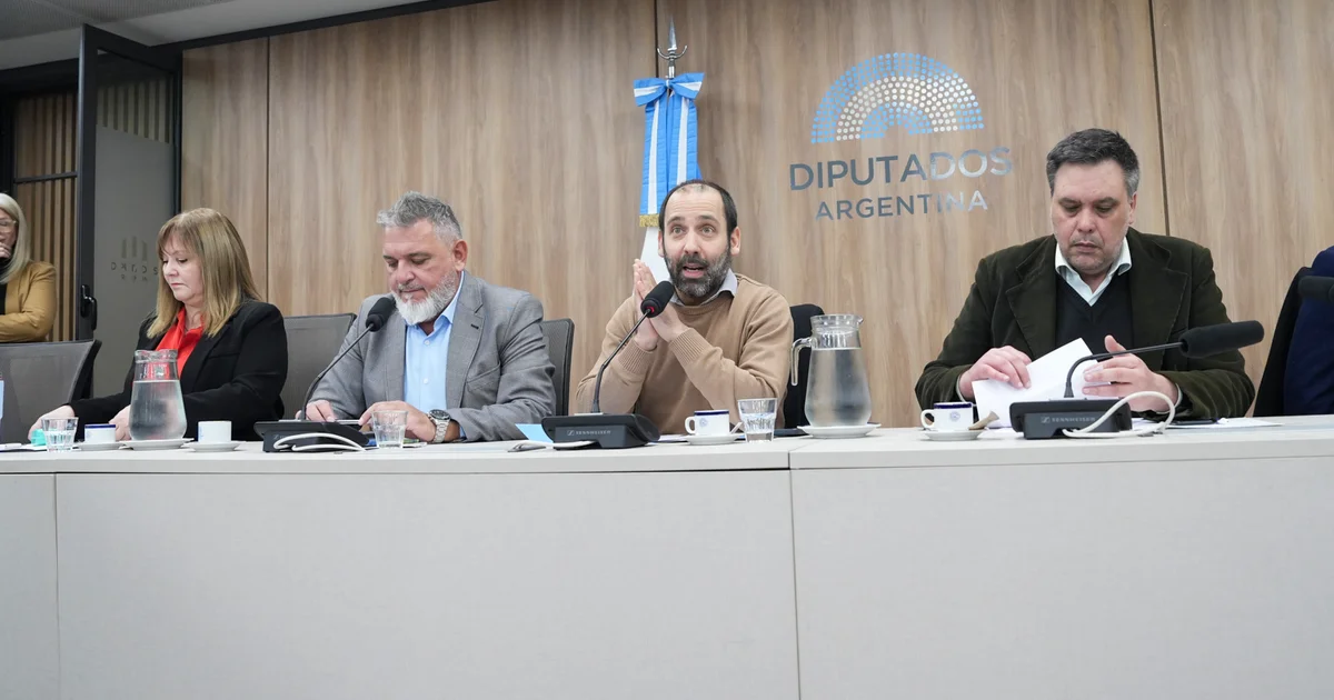 Foto oficial: CON INVITADOS, VIVIENDA Y ORDENAMIENTO URBANO ABORDÓ LA SITUACIÓN DE LOS DESALOJOS
