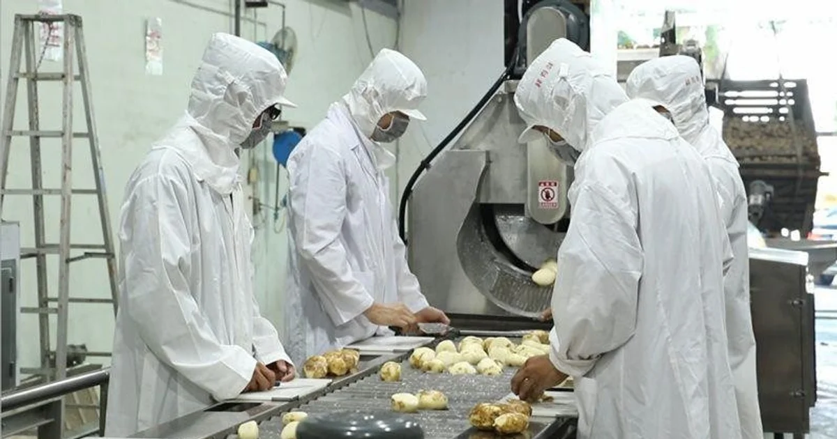 Molinos se queda con Ayudín y acelera su expansión más allá de los alimentos