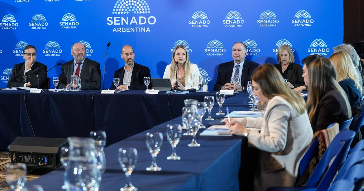 Foto oficial: EXPUSIERON EN AUDIENCIA PÚBLICA LOS POSTULANTES A INTEGRAR EL COMITÉ PARA LA PREVENCIÓN DE LA TORTURA