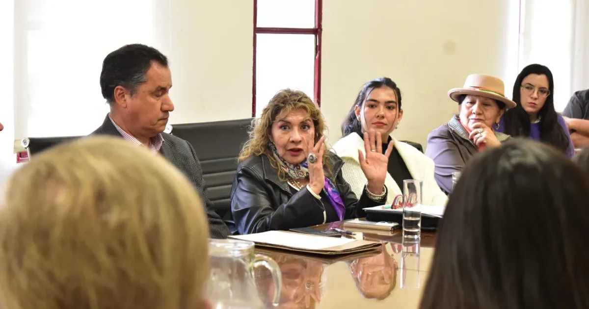 El Gobierno provincial impulsa la implementación territorial de la Ley Octorina