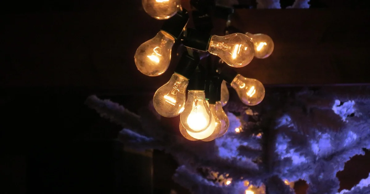The national government advances to a new stage of normalization in the wholesale electricity market