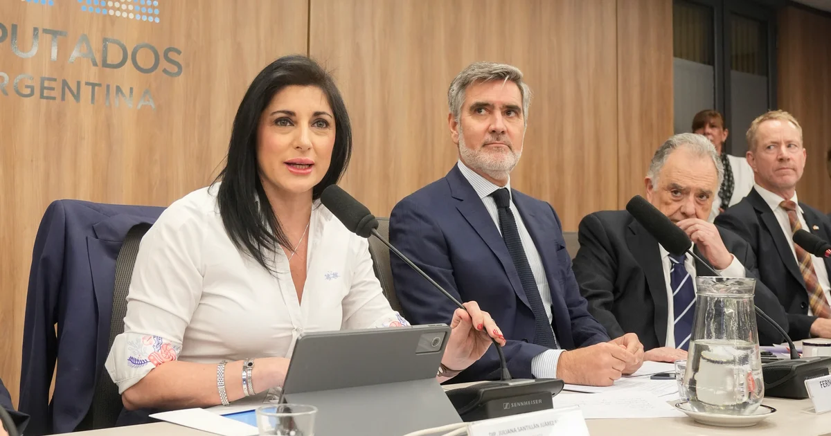 AmCham pidió adherir a un tratado internacional por semillas y alertó sobre el posible impacto de incumplir un acuerdo con Estados Unidos