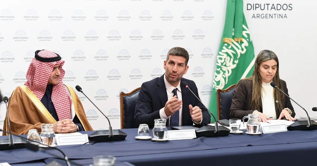 Constitutive meeting of the parliamentary friendship group with Saudi Arabia held