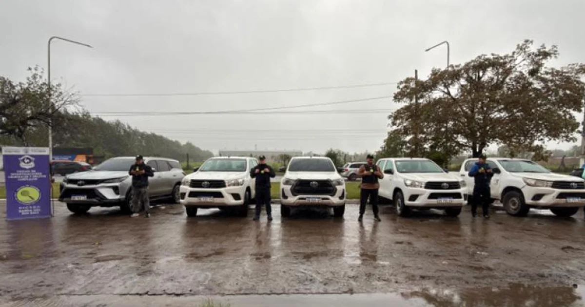Official photo: Secuestran cinco camionetas valuadas en 250 millones de pesos