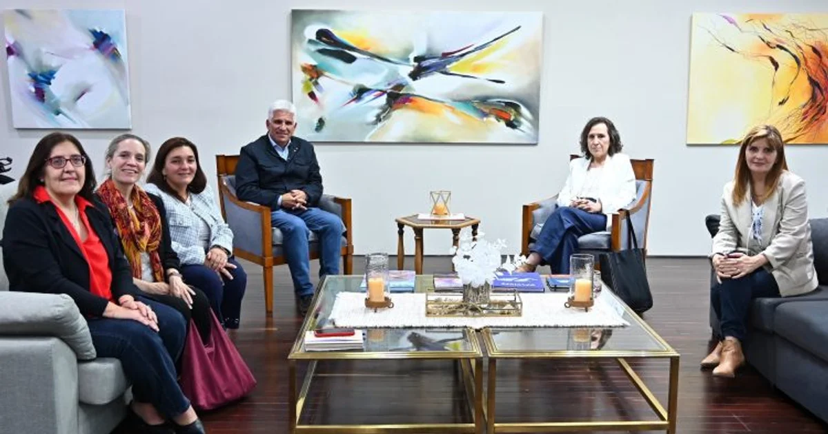 Foto oficial: El Gobernador se reunió con asesoras de la Organización Panamericana de la Salud