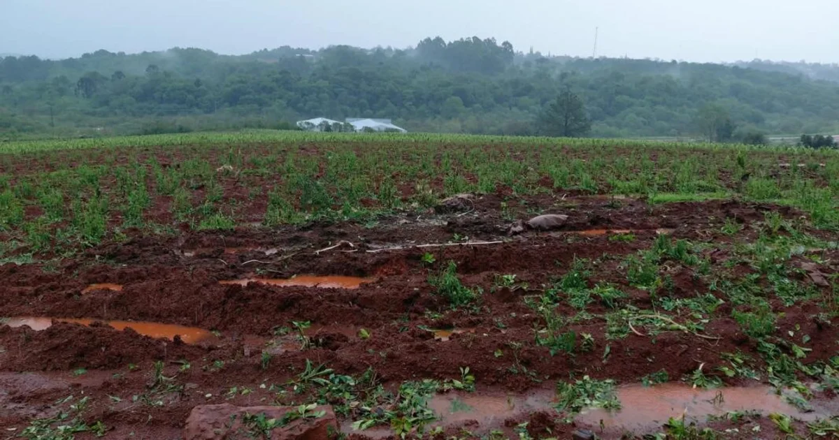 Official photo: AGRO: EL MINISTERIO AVANZA EN EL RELEVAMIENTO DE DAÑOS PRODUCTIVOS PROVOCADOS POR LOS ÚLTIMOS EVENTOS CLIMÁTICOS