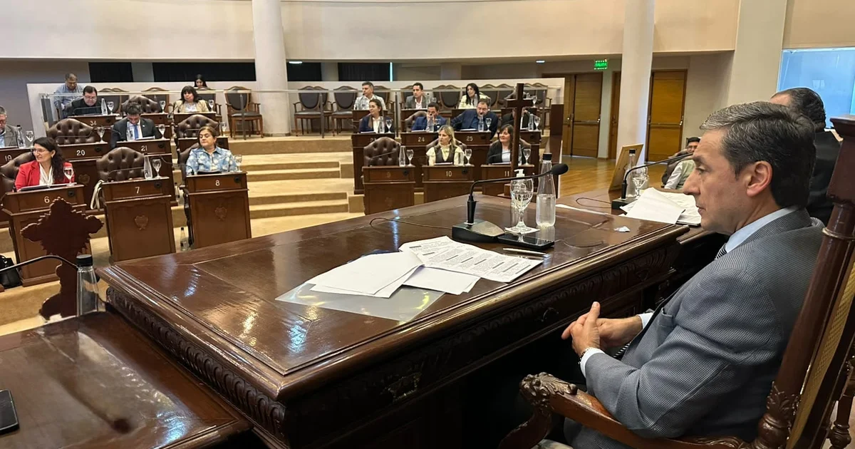 Foto oficial: La Legislatura ponderó la política de incentivo económico del gobierno provincial al sector privado y a emprendedores