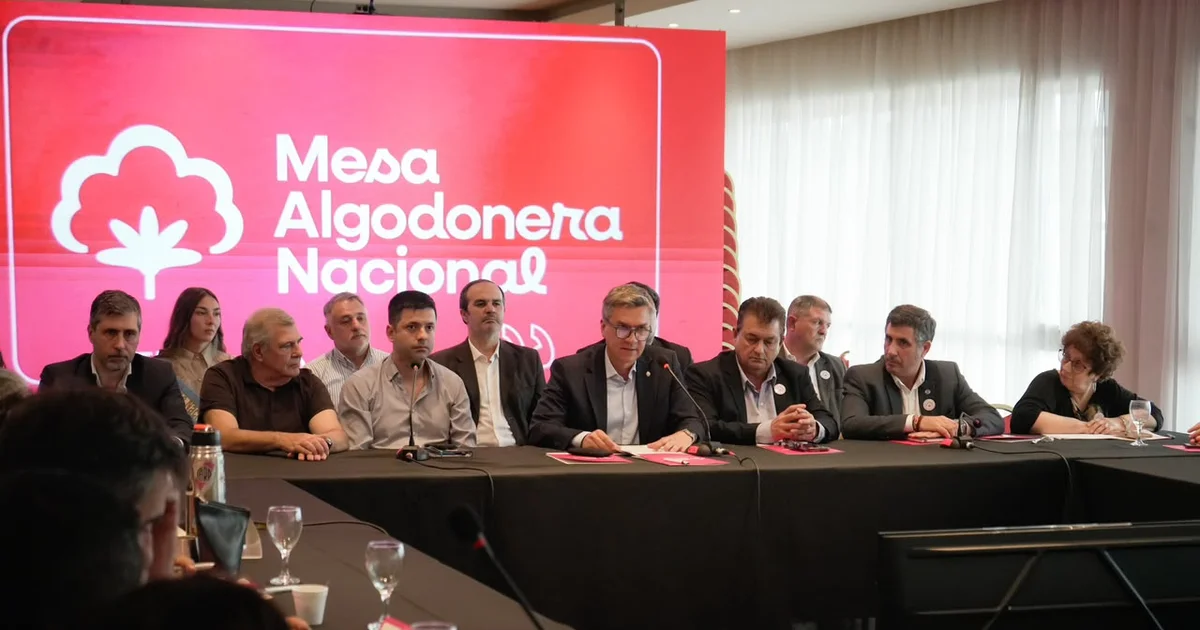 Foto oficial: MESA ALGODONERA NACIONAL: CHACO APUESTA A LA INNOVACIÓN Y LA COMPETITIVIDAD DEL ALGODÓN ARGENTINO