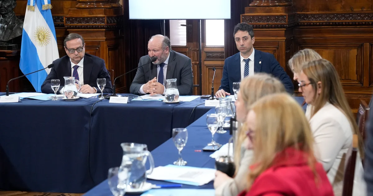 Bicameral continues with the integration process of the torture prevention committee