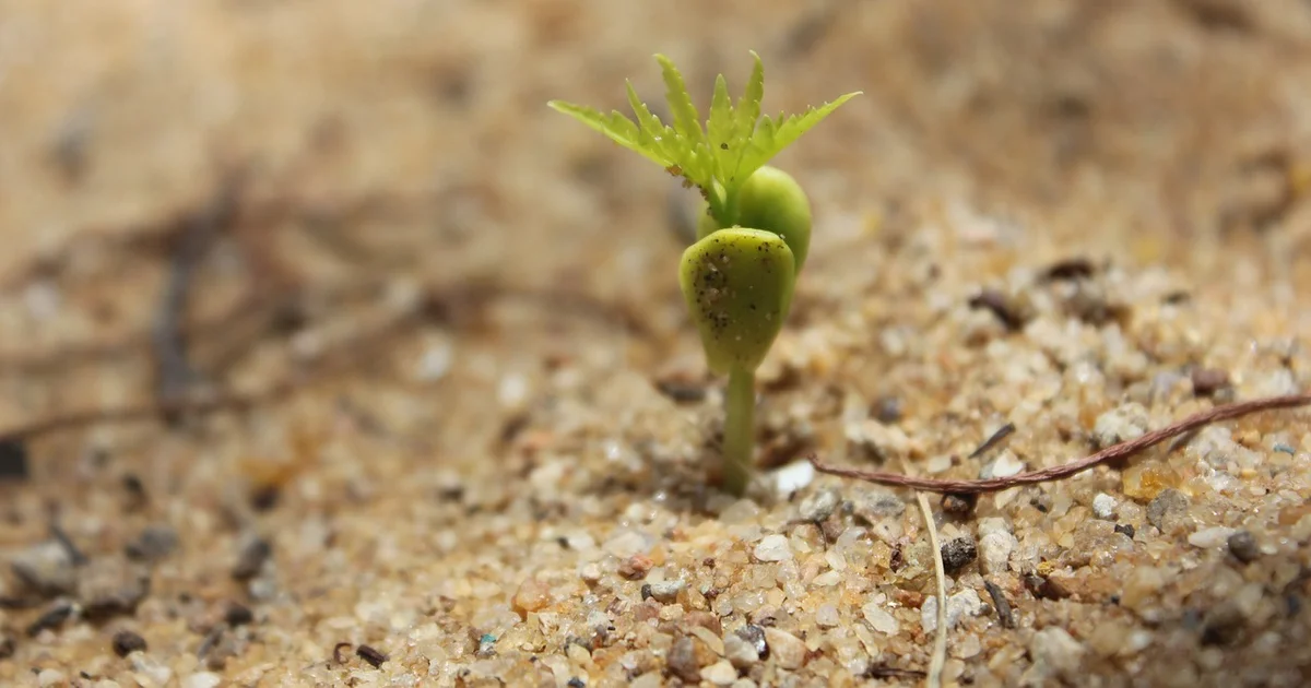 Un gigante del agro cerró una planta de insumos clave para la industria de fertilizantes de más de 50 años