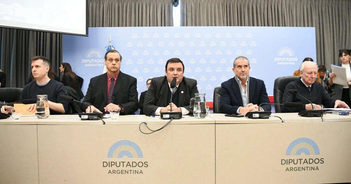 Foto oficial: EN UN PLENARIO DE COMISIONES SE DICTAMINÓ MAYORITARIAMENTE A FAVOR DE UN REGIMEN PERMANENTE PARA LAS PERSONAS CON DISCAPACIDAD