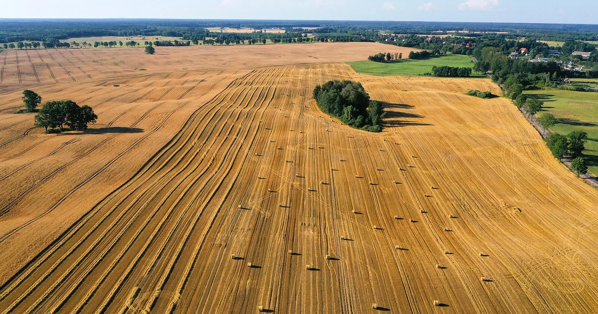Presentan una publicación técnica para promover las Buenas Prácticas Agrícolas en aplicaciones con drones