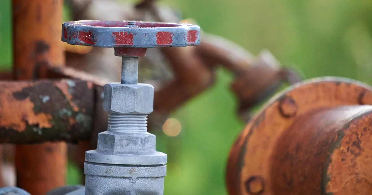 Hugo Lattanzi, productor que invirtió en un campo en Río Negro: “Siempre vi a la zona con mucho potencial”
