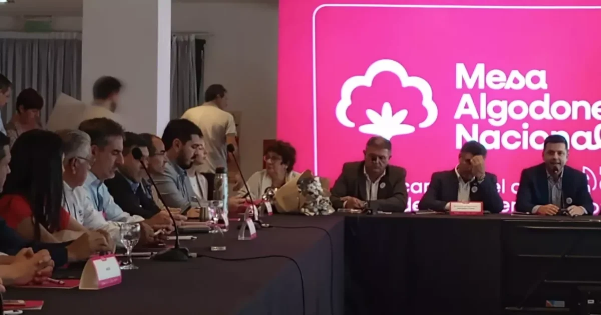 Foto oficial: La Mesa Nacional Algodonera se reunió en la provincia de Chaco