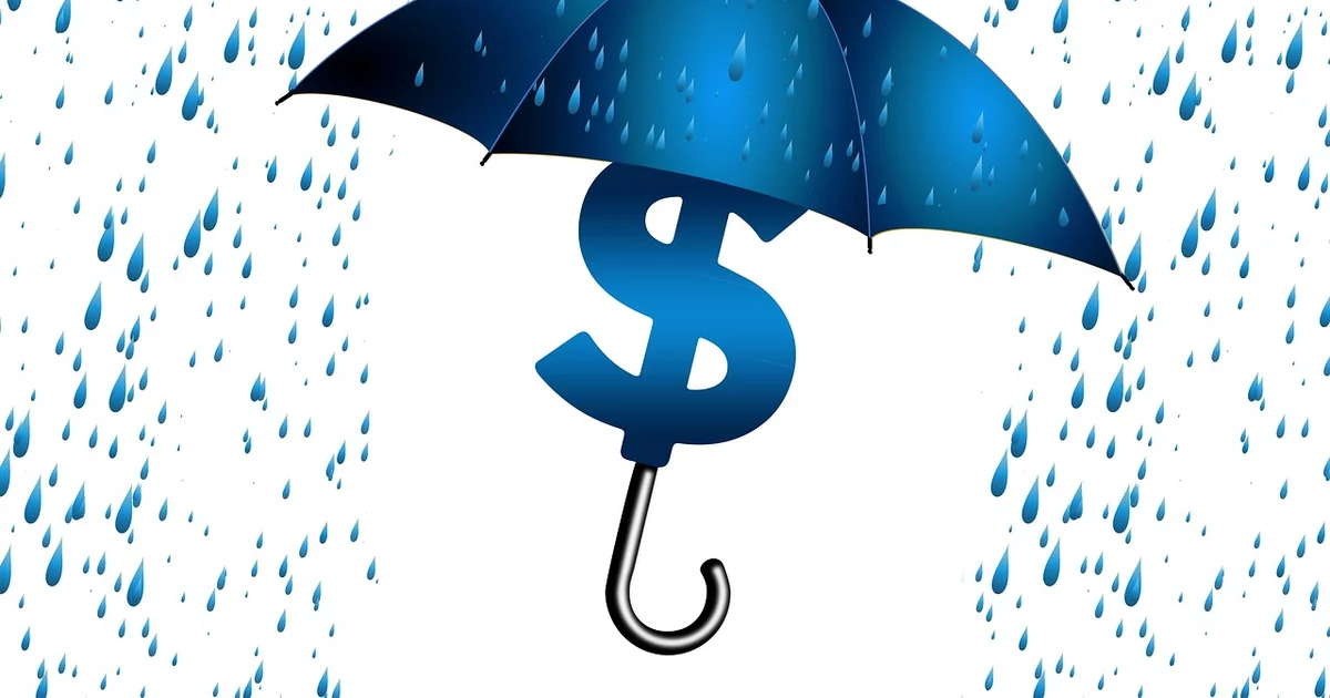 RDEco: How currency restrictions affect those wanting to buy dollars and save