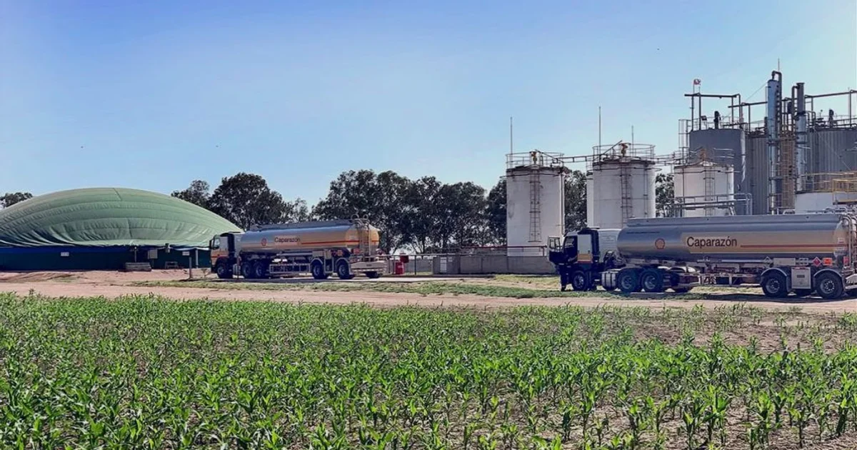 Biocombustibles: Una nueva ley abriría a Córdoba más oportunidades de inversión, producción y empleo