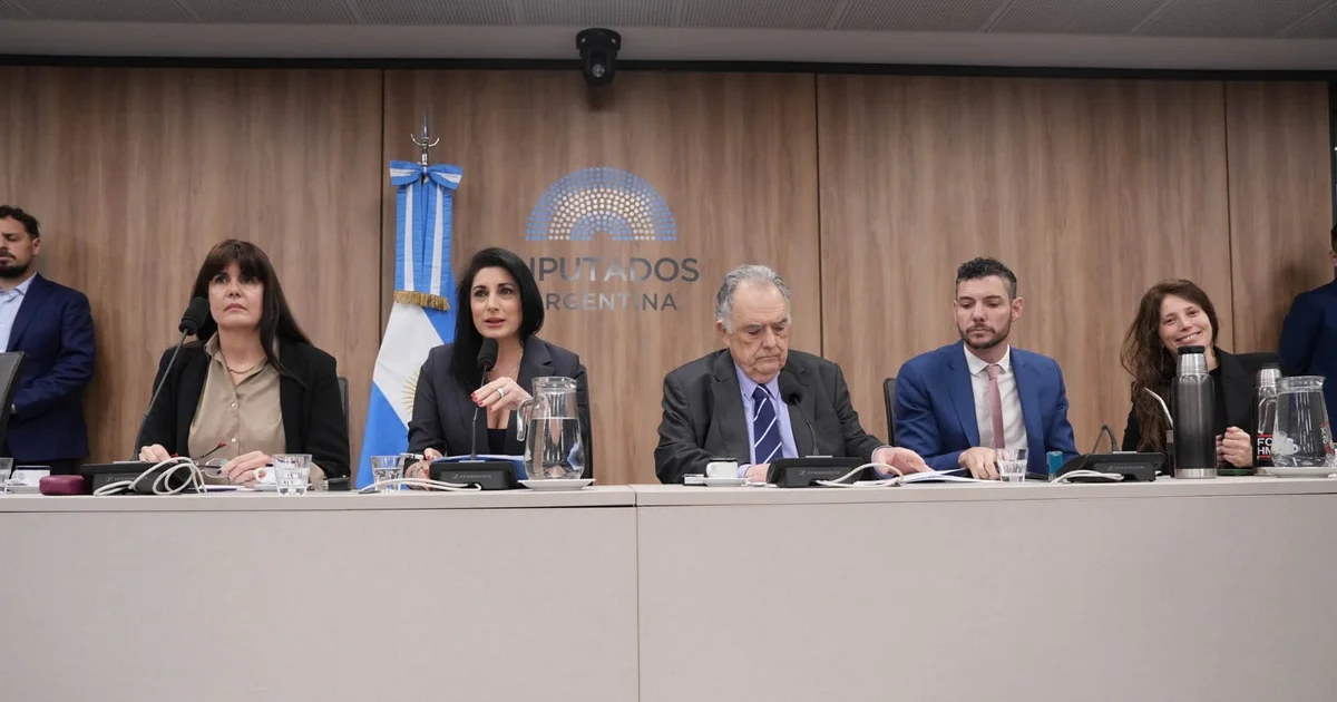 Foto oficial: UN PLENARIO DE COMISIONES DICTAMINÓ A FAVOR DE DOS PROYECTOS VINCULADOS AL MERCOSUR
