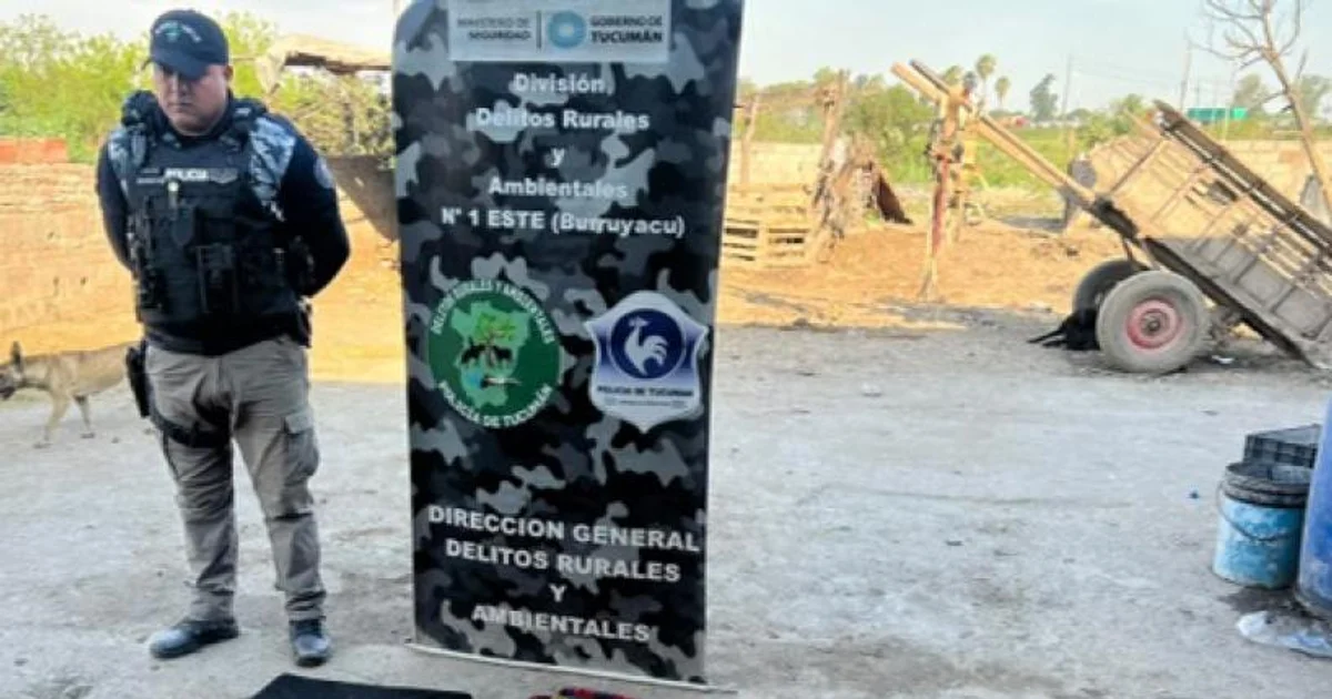 Apelan el sobreseimiento de los hermanos Milei