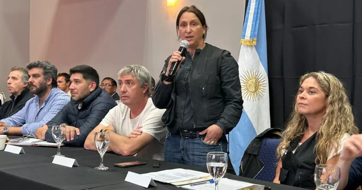 Official photo: El Comité de Emergencia Climática destacó la participación de legisladores en las acciones de prevención
