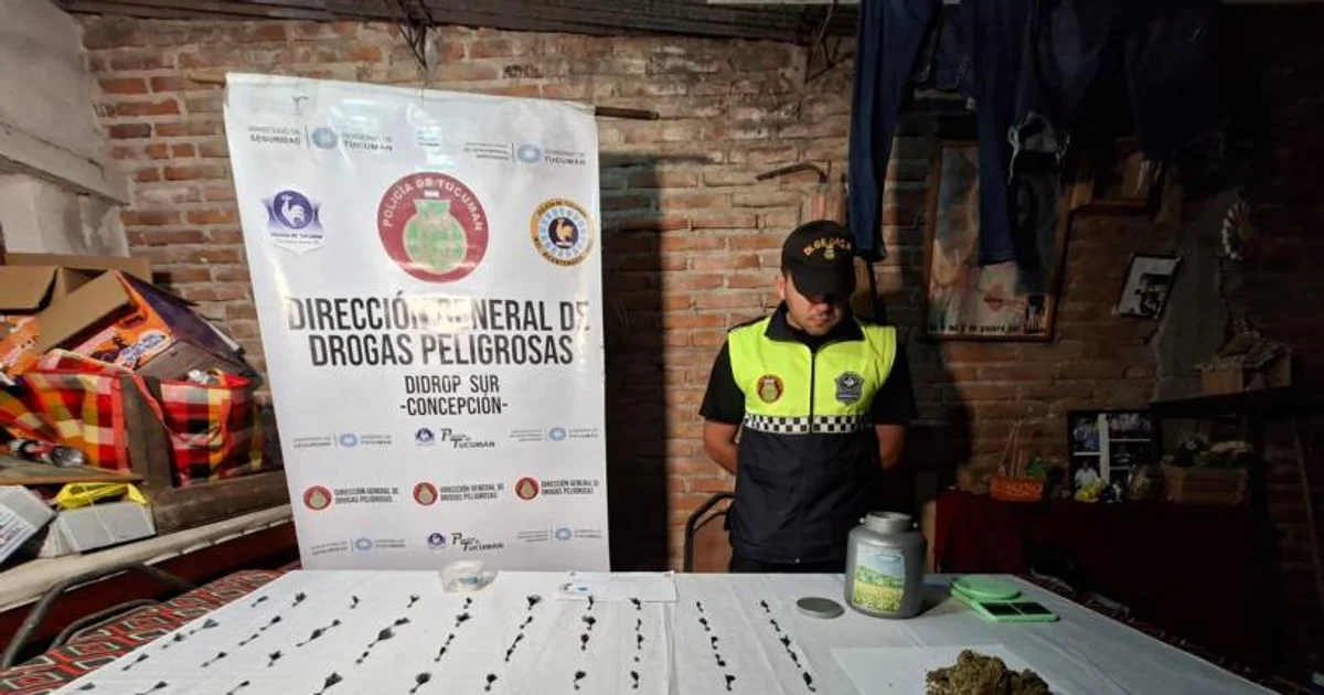 Foto oficial: Por narcomenudeo, allanan tres domicilios en Concepción