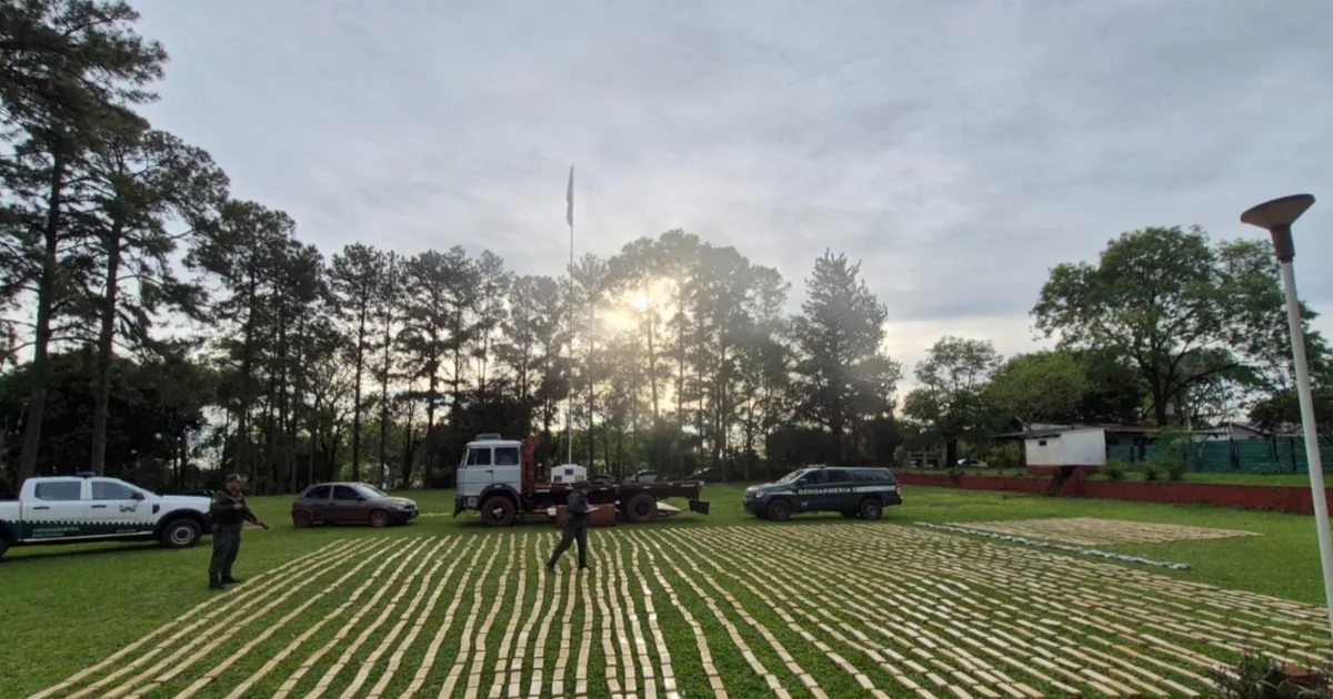More than 13 tons of drugs off the streets