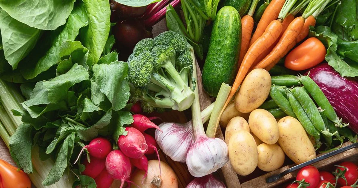 SENASA eliminates more than 40 obsolete regulations to simplify phytosanitary regulation