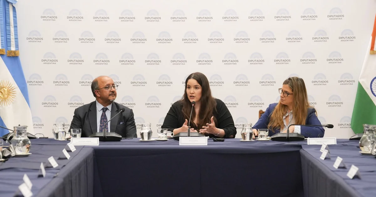 Foto oficial: SE REALIZÓ LA REUNIÓN CONSTITUTIVA DEL GRUPO PARLAMENTARIO DE AMISTAD CON LA REPÚBLICA DE LA INDIA