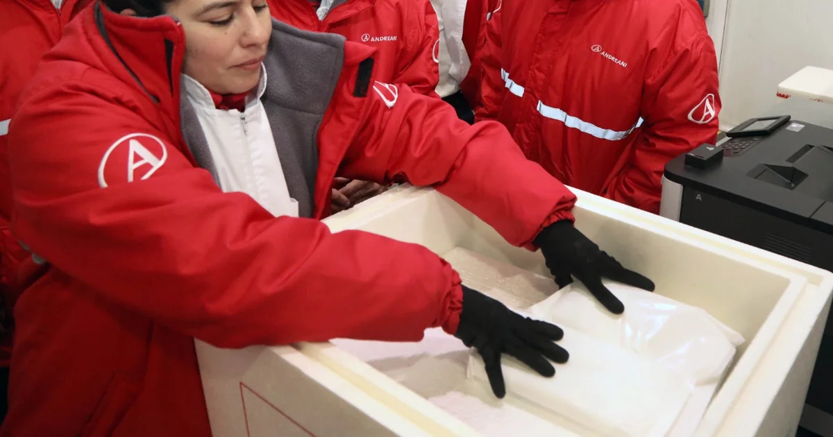 2026: se distribuyeron más de 20 millones de dosis del Calendario Nacional de Vacunación