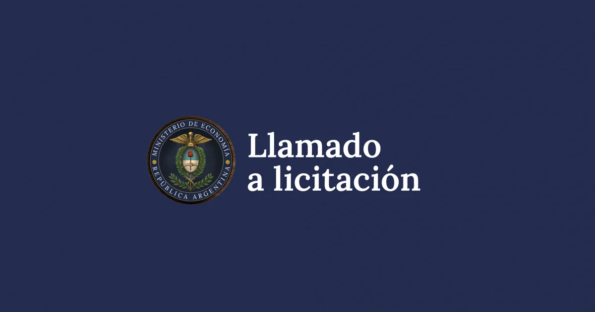 Conversión de la LELINK D30O6 en el marco del artículo 2 del decreto 846/24