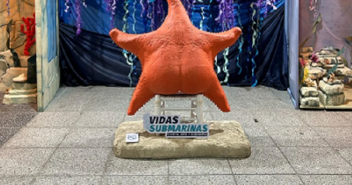 Assim serão os poços submarinos que a Total realizará no mar para produzir gás