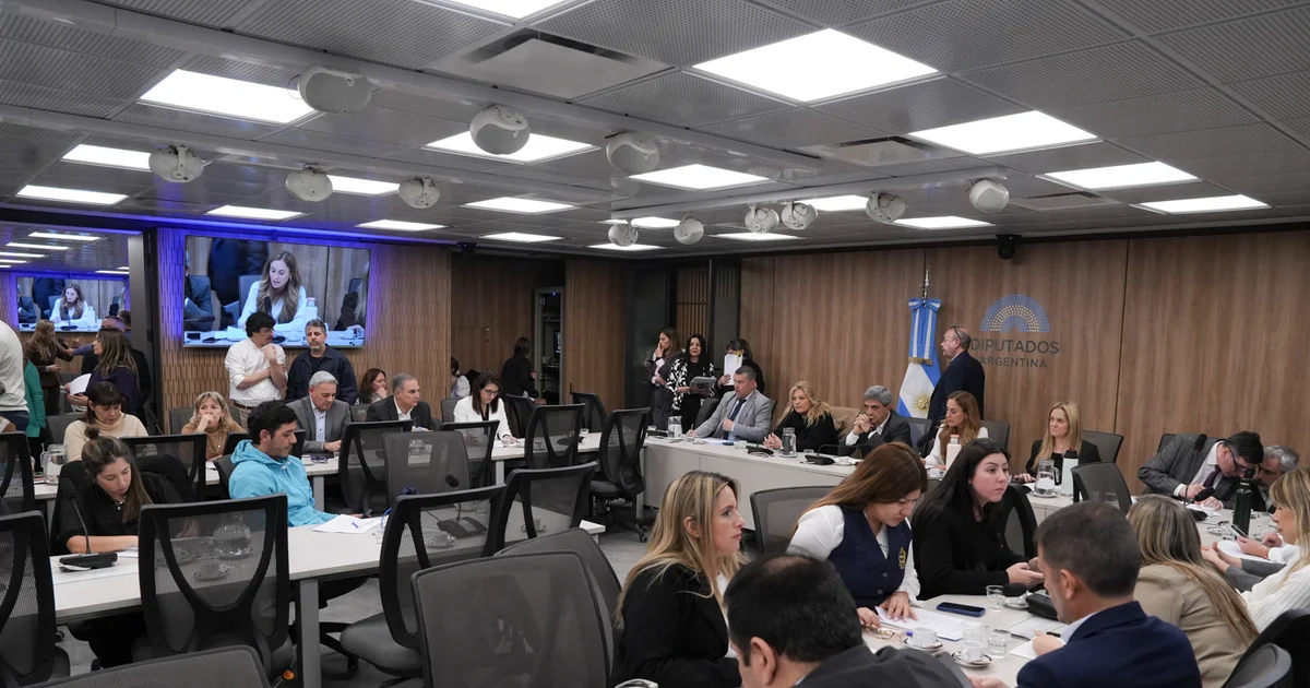 Second meeting to analyze problematic consumption in children and adolescents