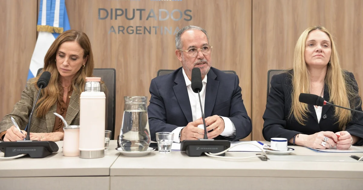 Chamber of Deputies received the Secretary of National Drug Policy (SEDRONAR)