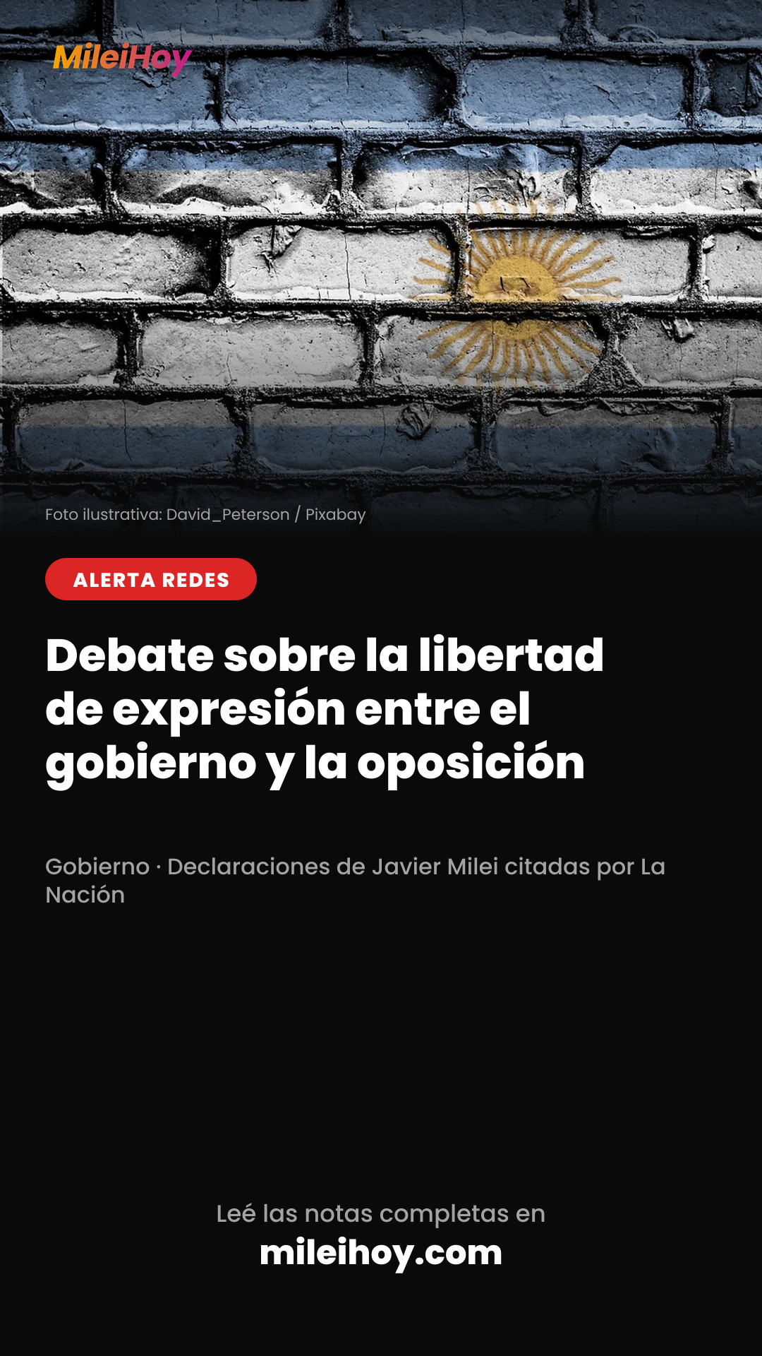 Historia de MileiHoy, ALERTA REDES: Debate sobre la libertad de expresión entre el gobierno y la oposición. Foto ilustrativa: David_Peterson / Pixabay